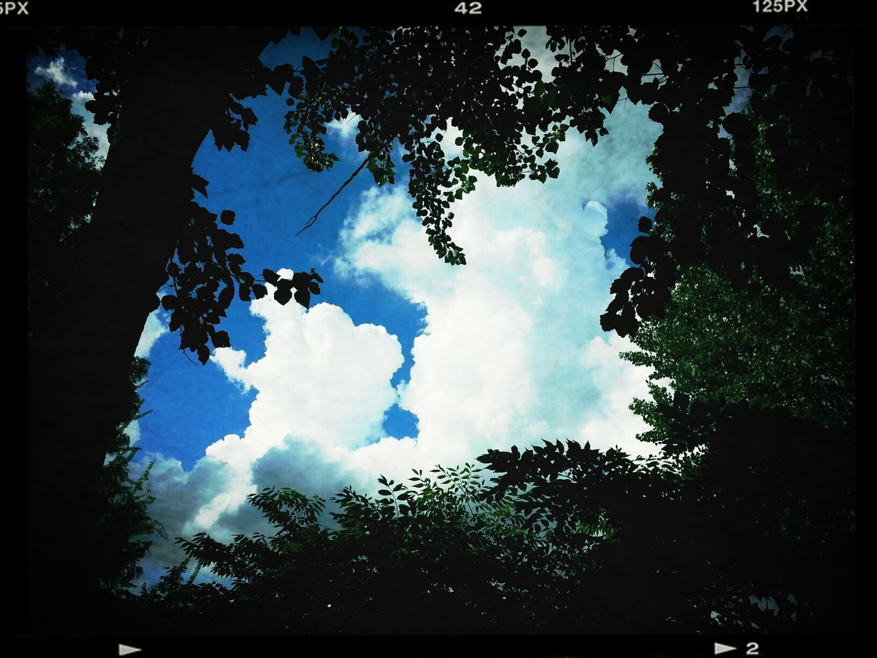 tree, sky, low angle view, silhouette, transfer print, cloud - sky, beauty in nature, auto post production filter, nature, tranquility, growth, scenics, branch, cloud, tranquil scene, cloudy, outdoors, no people, idyllic, day