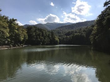 Scenic view of lake by trees against sky