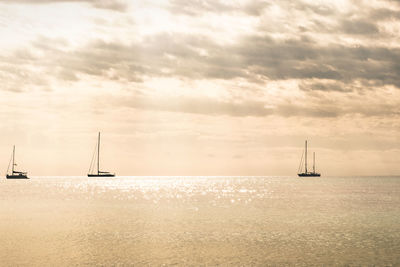 Sailboats sailing in sea against cloudy sky