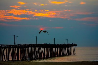 Birds flying over beach against sky during sunset