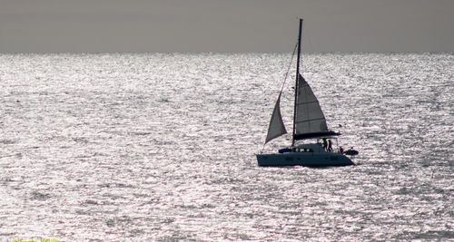 Sailboat sailing on sea against sky