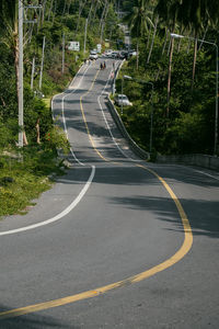 Empty road amidst trees