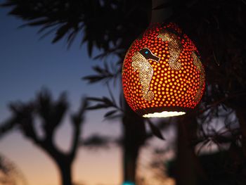 Close-up of illuminated lantern hanging on tree