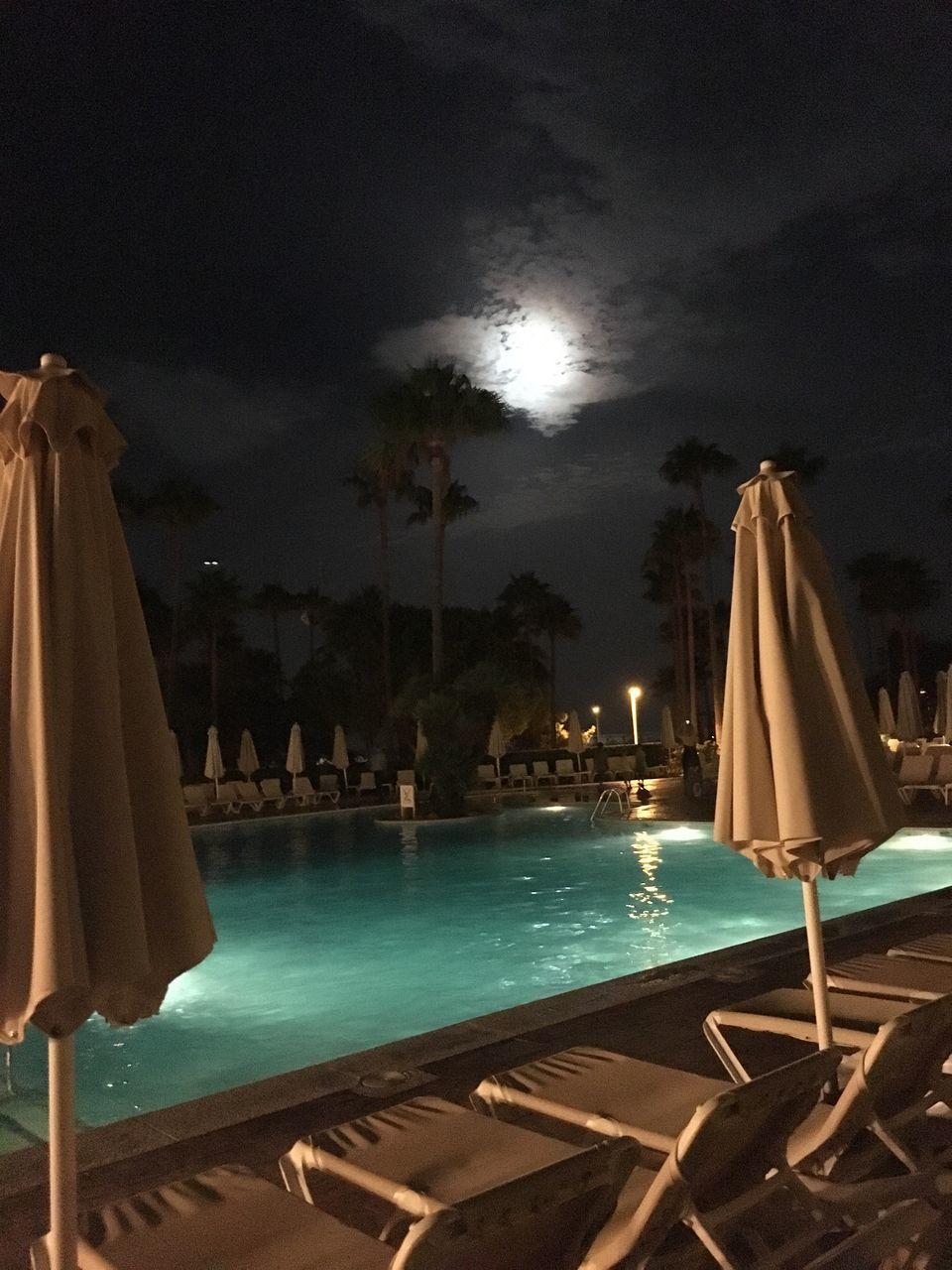 sky, swimming pool, water, no people, night, cloud - sky, illuminated, tranquility, outdoors, tree, palm tree, nature