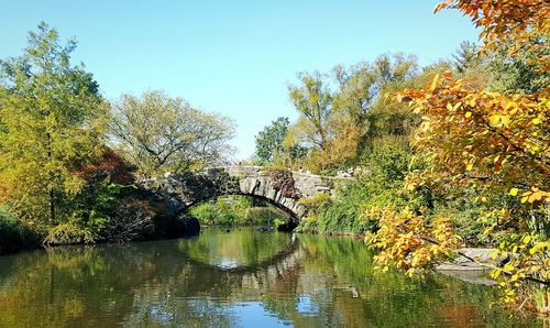 Trees and plants in garden