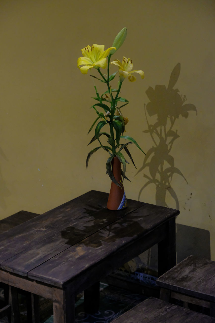 POTTED PLANT ON TABLE