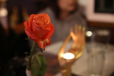 Close-up of rose against blurred background