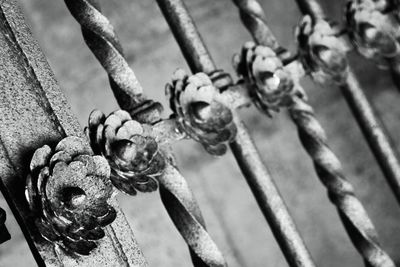 Close-up high angle view of water