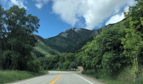 Drive along the crystal river in colorado