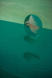 Underwater view of a turtle