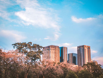 Trees and buildings against sky