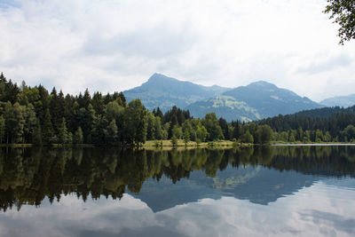 Reflection of trees in lake against cloudy sky