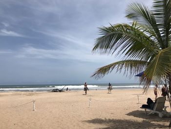 Palm trees on beach against sky