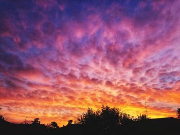 Low angle view of silhouette trees against dramatic sky