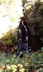 Waterfall in forest