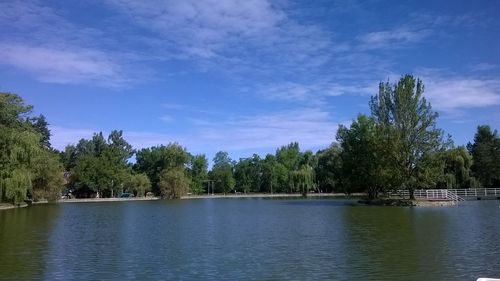 Scenic view of trees against blue sky