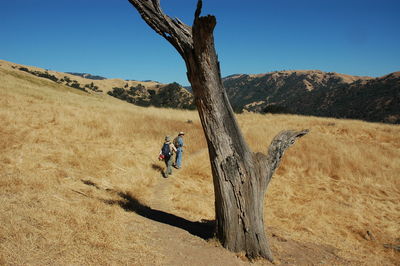 Men hiking on field at brushy peak regional preserve