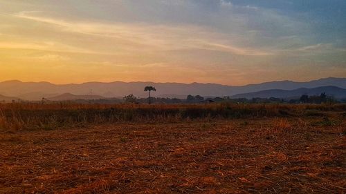 Scenic view of field against sky during sunset