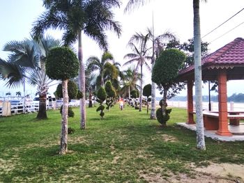 Group of people by palm trees on field against clear sky