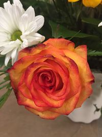 Close-up of rose bouquet