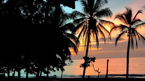 Silhouette palm trees on beach against sky during sunset