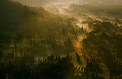 High angle view of landscape in foggy weather during sunrise