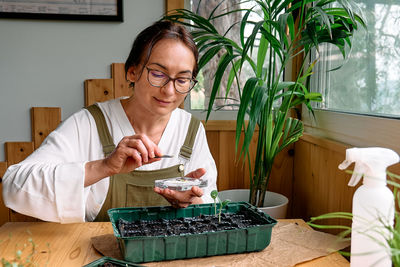 Woman sowing germinated seeds in mini greenhouse at home. home leisure growing seedlings at home.