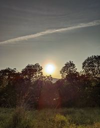 Sunlight streaming through trees on field against sky at sunset