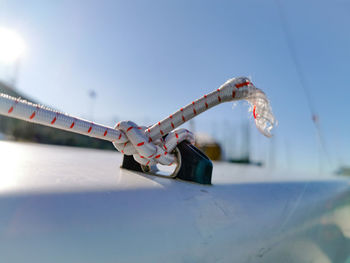 Close-up of ropes against clear sky