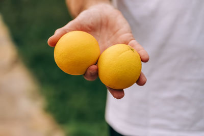 Hand holding fresh oranges 