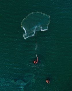 Directly above shot of man throwing fishing net in sea