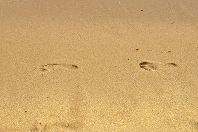 High angle view of footprints on sand at beach