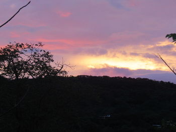 Silhouette trees on landscape against sky at sunset