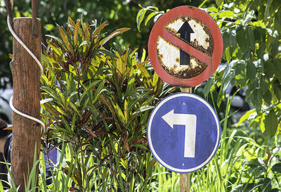 Close-up of information sign on tree