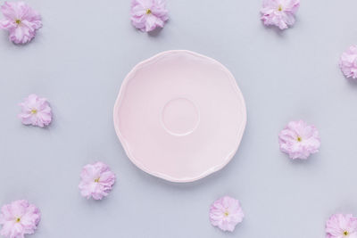 Pink saucer or dessert plate and fresh spring cherry blossom flowers