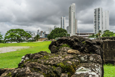 Trees and buildings against sky