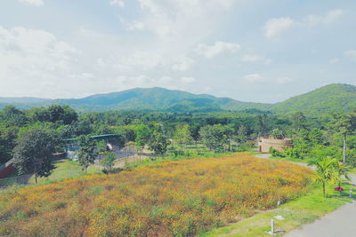 Scenic view of field against sky