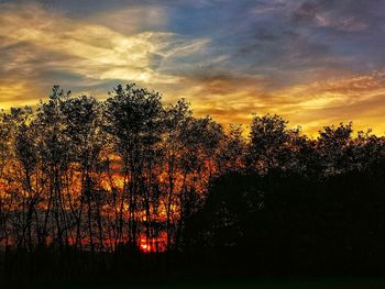 Silhouette trees against sky during sunset