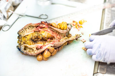 High angle view of food on table