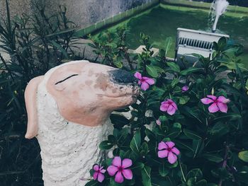 High angle view of dog amidst flowering plants in yard