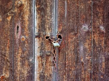 View of an animal on rusty door