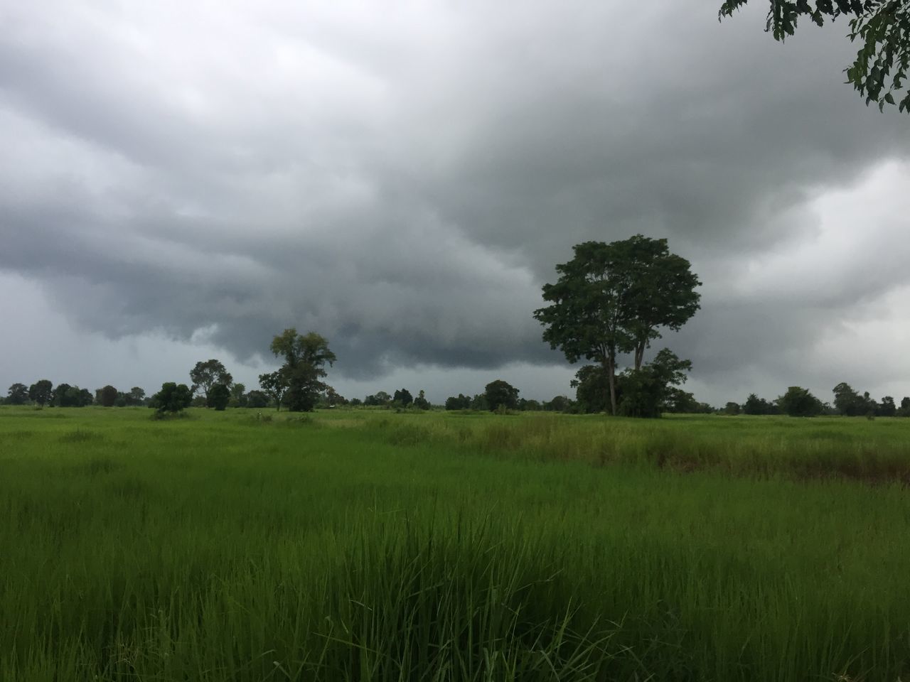 SCENIC VIEW OF LAND AGAINST SKY