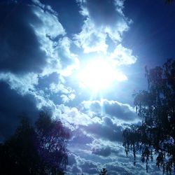 Low angle view of trees against cloudy sky