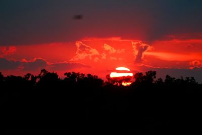 Silhouette trees against sky at sunset