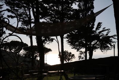 Low angle view of silhouette trees against sky