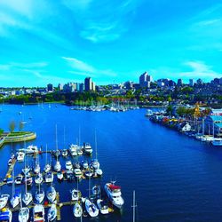 Sailboats moored at harbor by city against sky