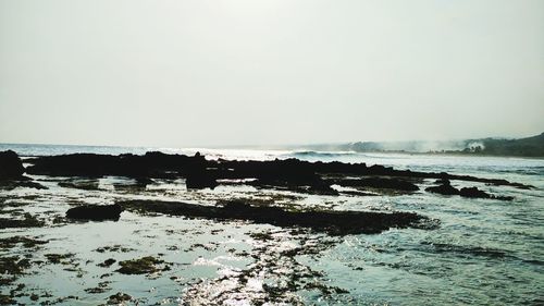 Scenic view of sea against clear sky