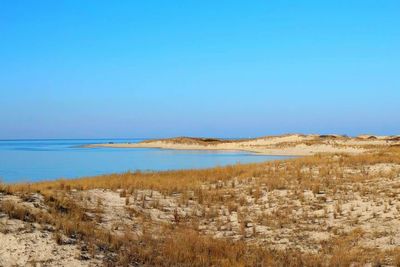 Scenic view of landscape against clear blue sky