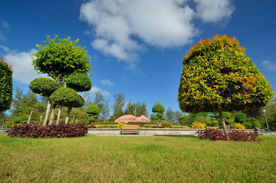 Trees on countryside landscape against blue sky