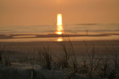 Scenic view of sunset over sea